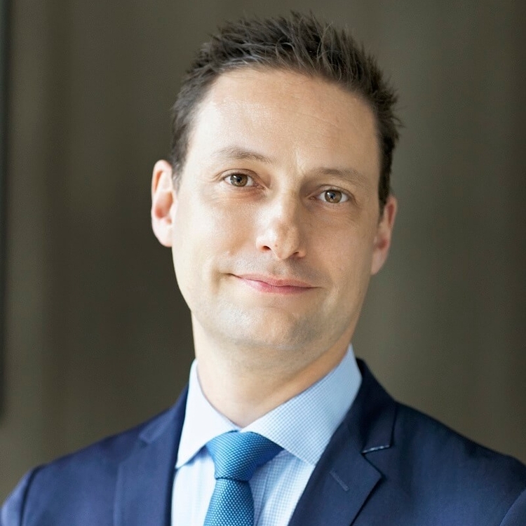 Portrait de Michel Manzanera